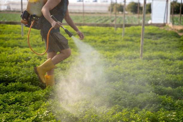 Best Pest Control Treatment  in Ninety Six, SC
