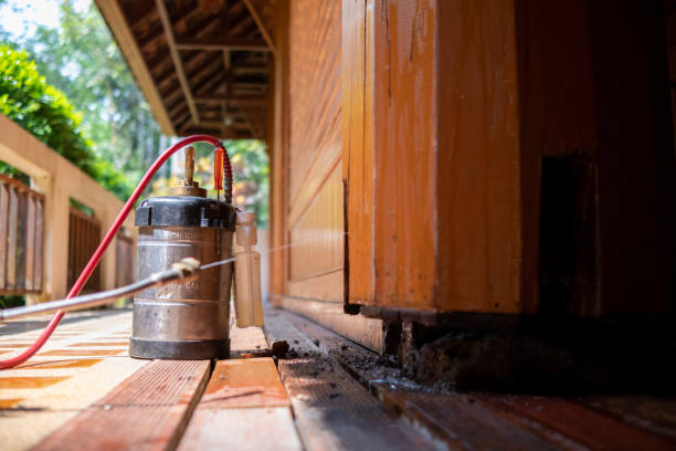 Best Local Pest Control Services  in Ninety Six, SC