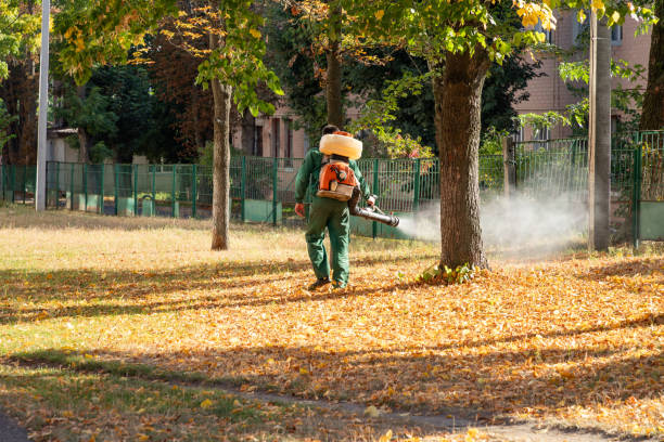 Best Pest Prevention Services  in Ninety Six, SC